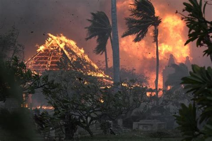 How did the Maui fire spread so quickly?