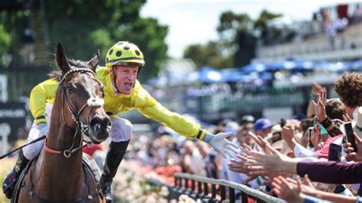 Without a Fight wins 163rd Melbourne Cup